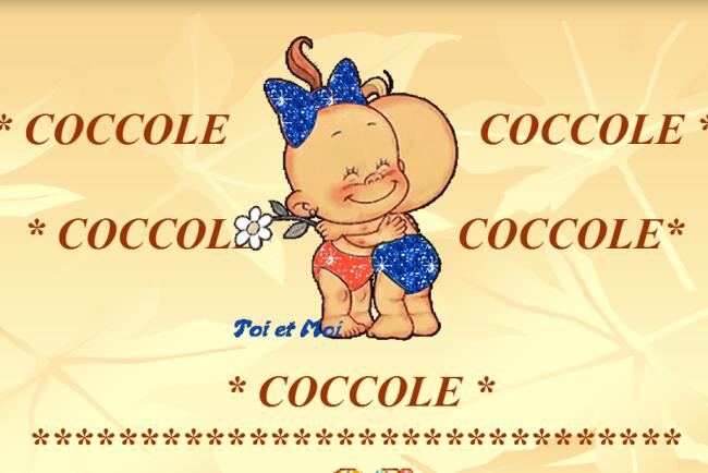 coccole-2.jpg